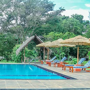 sigiriya-peacock-homestay.kandyhotelsnow.com/